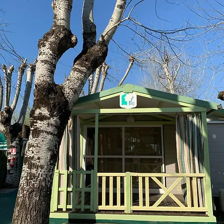 Camping Dal Pino Marina di Massa Esterno foto