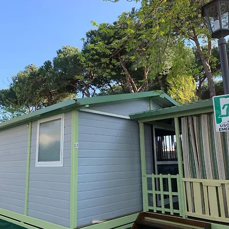 Camping Dal Pino Marina di Massa Esterno foto