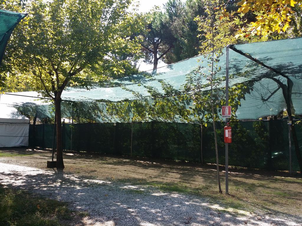 Dal Pino Marina di Massa