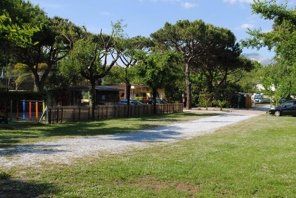 Dal Pino 3*