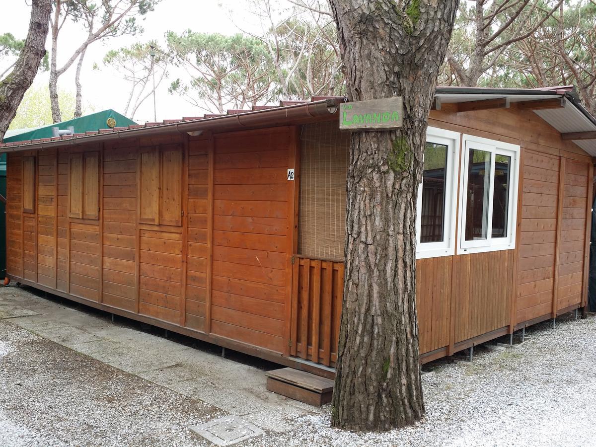 Campeggio Dal Pino 3*