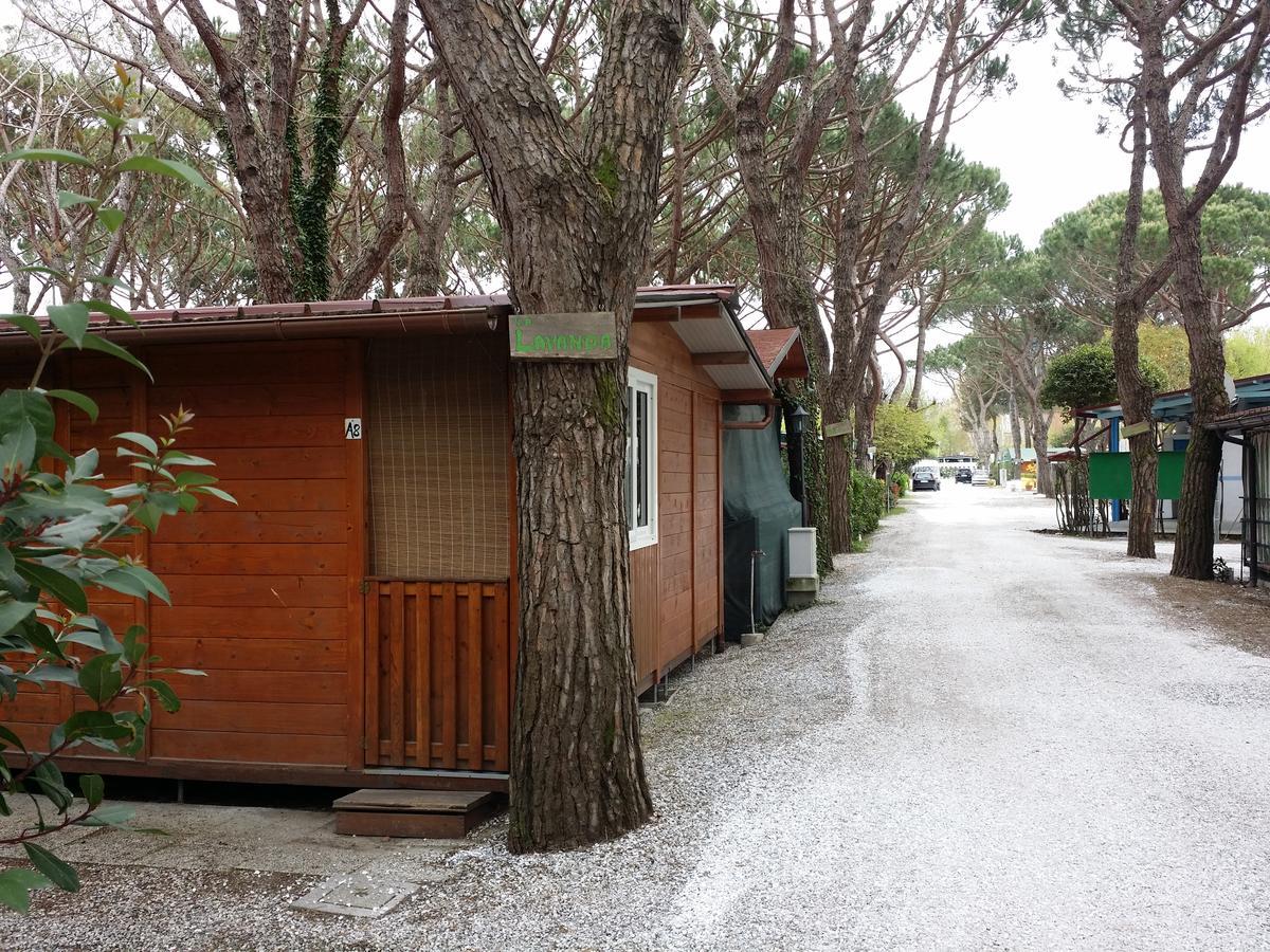 Campeggio Dal Pino
